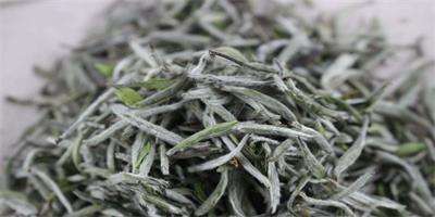 茶葉上的茸毛是什么？茶葉加工設(shè)備告訴你